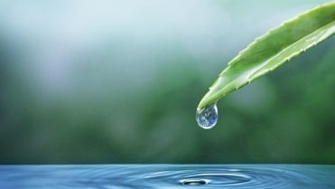 Ecosystem water drop nature background for earth day campaign Ecosystem water drop nature background for earth day campaign