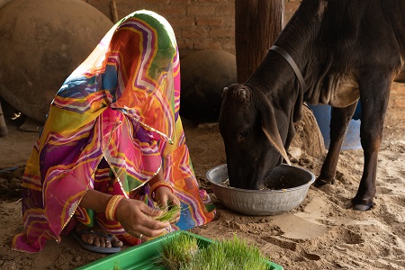 SR Foundation - Shine Hydrogreens Impact Story