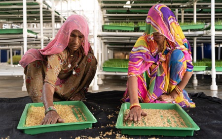 842_India_Fairpicture_008